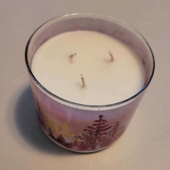 New in Box - Strawberry Snowflake 3-wick Jar Candle - Picture 4 of 7